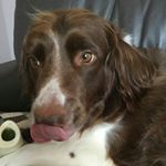 Profile Picture of janice Duncan (@janiceduncan6474) on Instagram