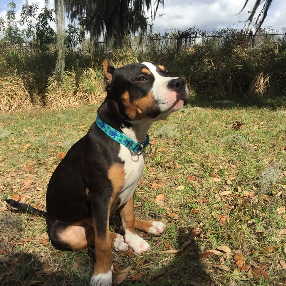 Profile Picture of Joy Hambrick (@hambrickej) on Poshmark