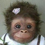 Profile Picture of Angela Stump (@astump) on Instagram