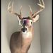 Profile Picture of Amelia Clift (@27aclift) on Pinterest