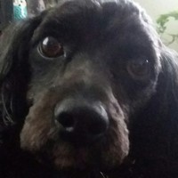 Profile Picture of Corbin K (@corbin-k-1) on Quora