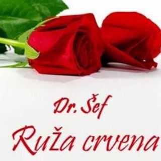 Profile Picture of Obrad Radic (@obrad.radic.50) on Facebook