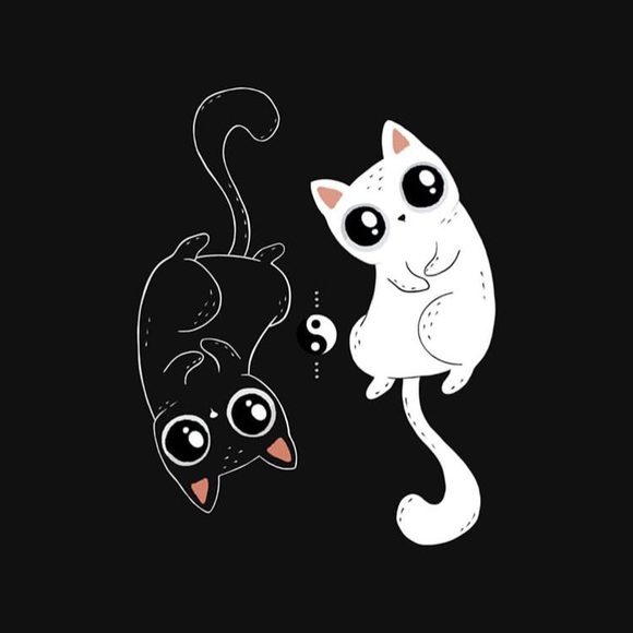 Profile Picture of Sara Mirzaee (@saramirzamanesh) on Poshmark