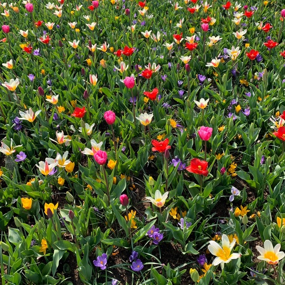 Amelia Blackham - Poshmark Profile Picture of Amelia Blackham (@ameliablackham) on Poshmark