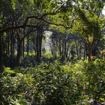 Profile Picture of lalit pant (@lalitpantphotography) on Flickr