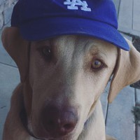 Profile Picture of Isaac Amador (@isaac-amador-3) on Quora