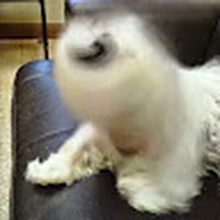 Profile Picture of Mark Laviolette (@mark-laviolette-7) on Quora