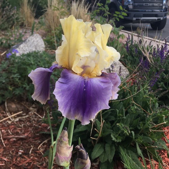 Profile Picture of R Modlish (@rmodlish24) on Poshmark