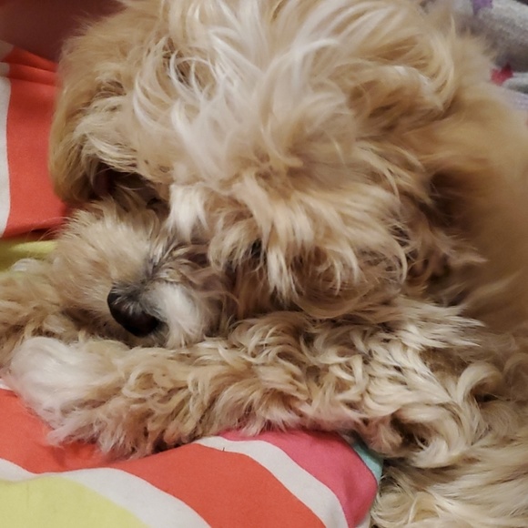 Profile Picture of Bryan Haley (@haley789993) on Poshmark