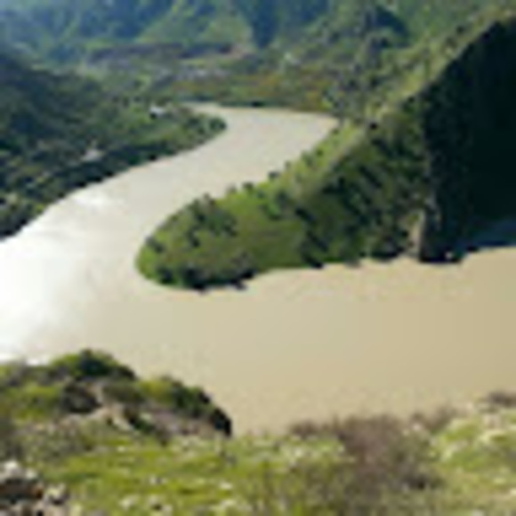 Profile Picture of Zakaria Enayati (@zakariaenayati) on Poshmark