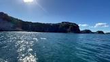 Profile Picture of   Leopard Ocean Cruise is the... (@samira_sf68) on Tiktok