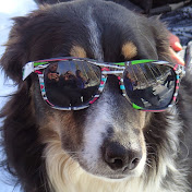 Profile Picture of Mason Phillips (@masonphillips9659) on Youtube