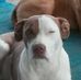 Profile Picture of Scott Faulk (@scott.faulk.14) on Facebook