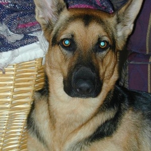 Profile Picture of Jasmine Delorme (@290589917) on Myspace