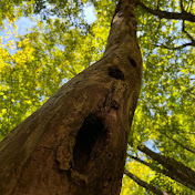 Profile Picture of Bill Bates (@billbates6887) on Youtube