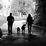 Profile Picture of Tracie Fulton Harris (@tjfharris) on Instagram