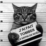 Profile Picture of Bethsabée Bertrand (@bethsabeebertrand) on Instagram