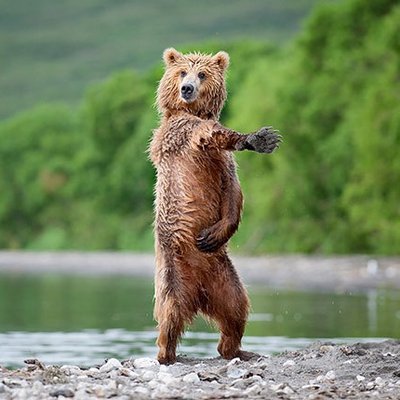 Profile Picture of David DeLuca (@Daviddeluca76) on Twitter