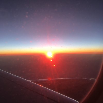 Profile Picture of Hilde Knoflook (@HildeKnoflook) on Twitter