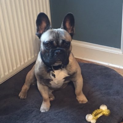 Profile Picture of Justin Moir (@moir_justin) on Twitter