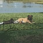 Profile Picture of Lori Kramer (@lori_kramer0110) on Instagram