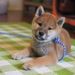 Profile Picture of Jeremy D. Cothran (@jeremycothran) on Pinterest