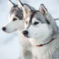 Cinthia Cabrera - Quora Profile Picture of Cinthia Cabrera (@cinthia-cabrera-15) on Quora