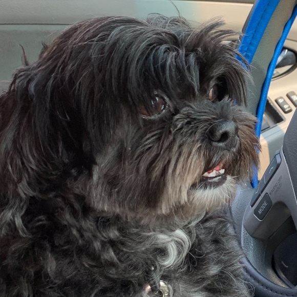 Profile Picture of Rusmila Coralic (@coral748) on Poshmark