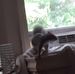 Profile Picture of Jerry Biddle (@jerry.biddle.3557) on Facebook