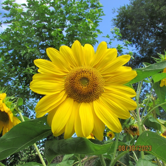 Profile Picture of Larry Boyne (@larryboyne77) on Poshmark