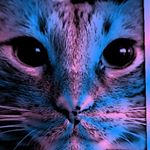 Profile Picture of my name is editator de poze (@alex_suchea) on Instagram