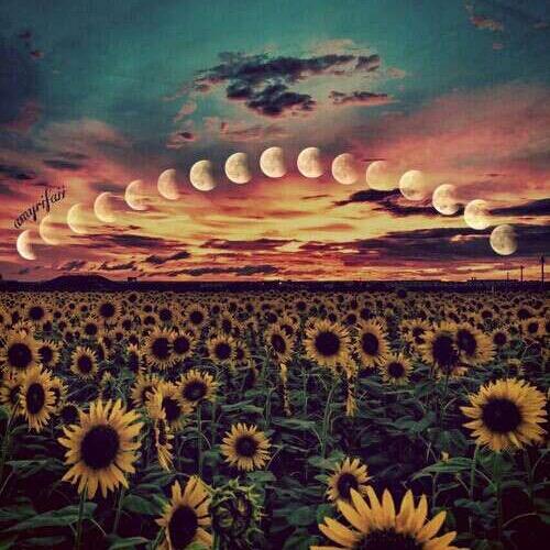 Profile Picture of Ashthepartyboi  (@ashthepartyboi) on Tiktok