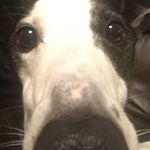 Profile Picture of Tom Adkins (@adkinssssz) on Instagram