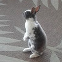 Profile Picture of Annette Drabicki (@annette-drabicki) on Quora