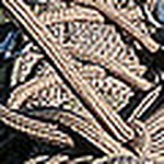 Profile Picture of A Passion For Perthshire (@gilmore house bed & breakfast blairgowrie scotland) on Flickr