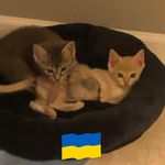 Profile Picture of Kim Wentzel-DeHart (@wentzeldehart) on Instagram