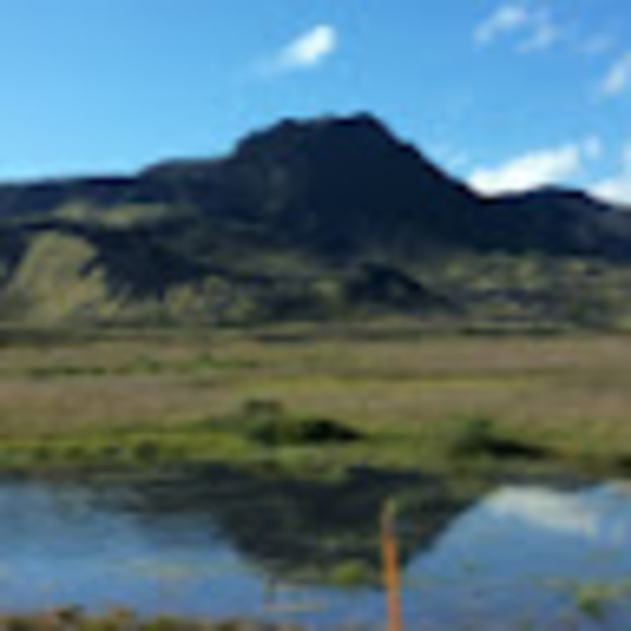 Profile Picture of Aisling Moloney (@annmoloney0) on Poshmark