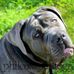 Profile Picture of Scott Conry (@scott.conry.334) on Facebook
