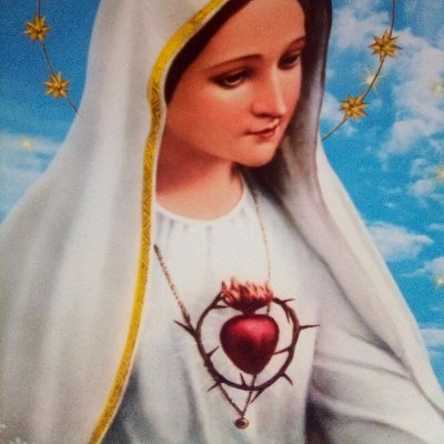 Profile Picture of Alexa Fernanda Martinez Aguilera (@Alexafe64871084) on Twitter