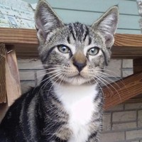 Profile Picture of Kyle Dewitt (@kyle-dewitt-9) on Quora