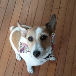 Profile Picture of Todd Elliott (@That Book Guy) on Flickr