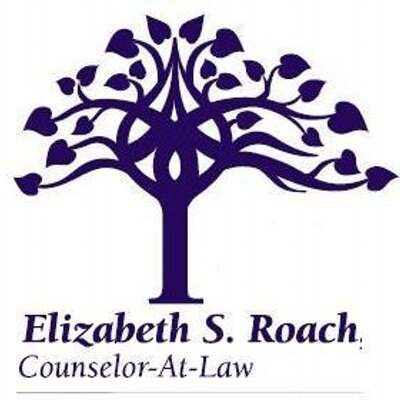 Profile Picture of Elizabeth S. Roach (@AttyForArt) on Twitter