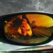Profile Picture of Brandon Warnick (@warnickbrandon) on Pinterest