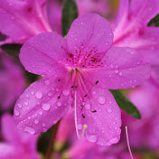 Profile Picture of Mia Richards (@miarichards4283) on Youtube