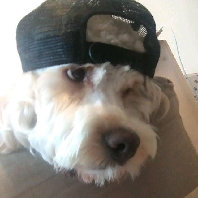 Profile Picture of johauschildt (@johauschildt) on Tiktok