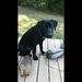 Profile Picture of John Jester (@jjester58) on Pinterest
