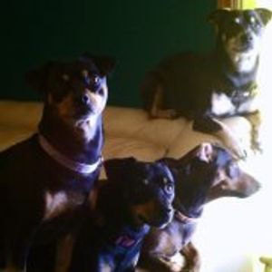 Profile Picture of Sherry Ritter (@sherrycherry73) on Myspace