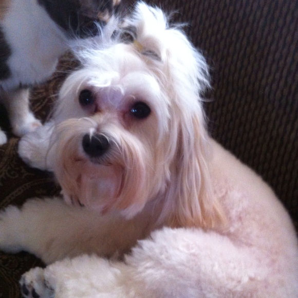 Laura Vandevender - Poshmark Profile Picture of Laura Vandevender (@vandevel) on Poshmark