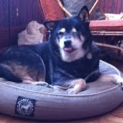 Profile Picture of Devin Dukes (@luckyloudukes) on Youtube