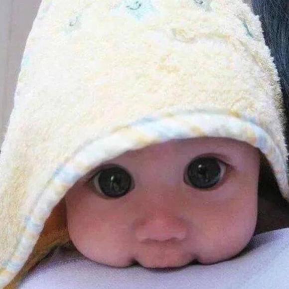 Profile Picture of Kevin Lin (@kevin168lin) on Poshmark